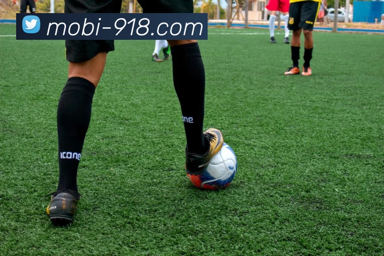 博天堂发展历程